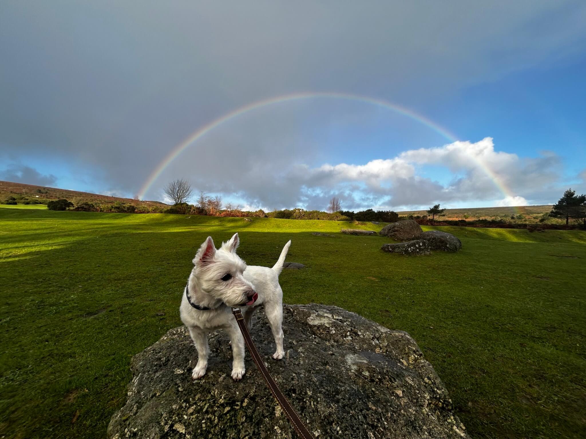 The Castle Brecon Pet Friendly Hotel scaled