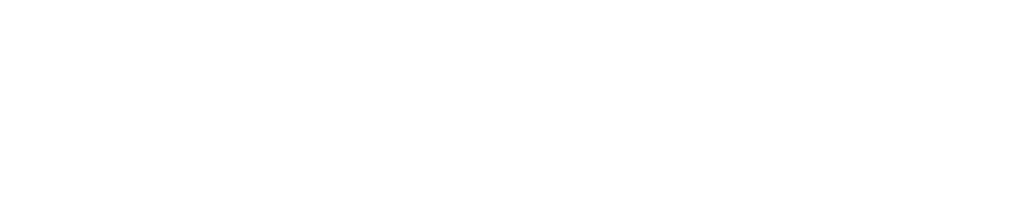 The Castle, Brecon